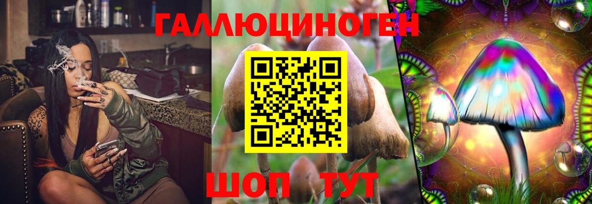 Галлюциногенные грибы Psilocybe  Псилоцибиновые грибы ЛСД  где купить   Первоуральск  Вход с VPN 